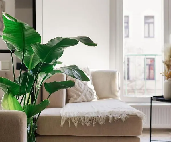 Bright & Cozy 3 Near Everything